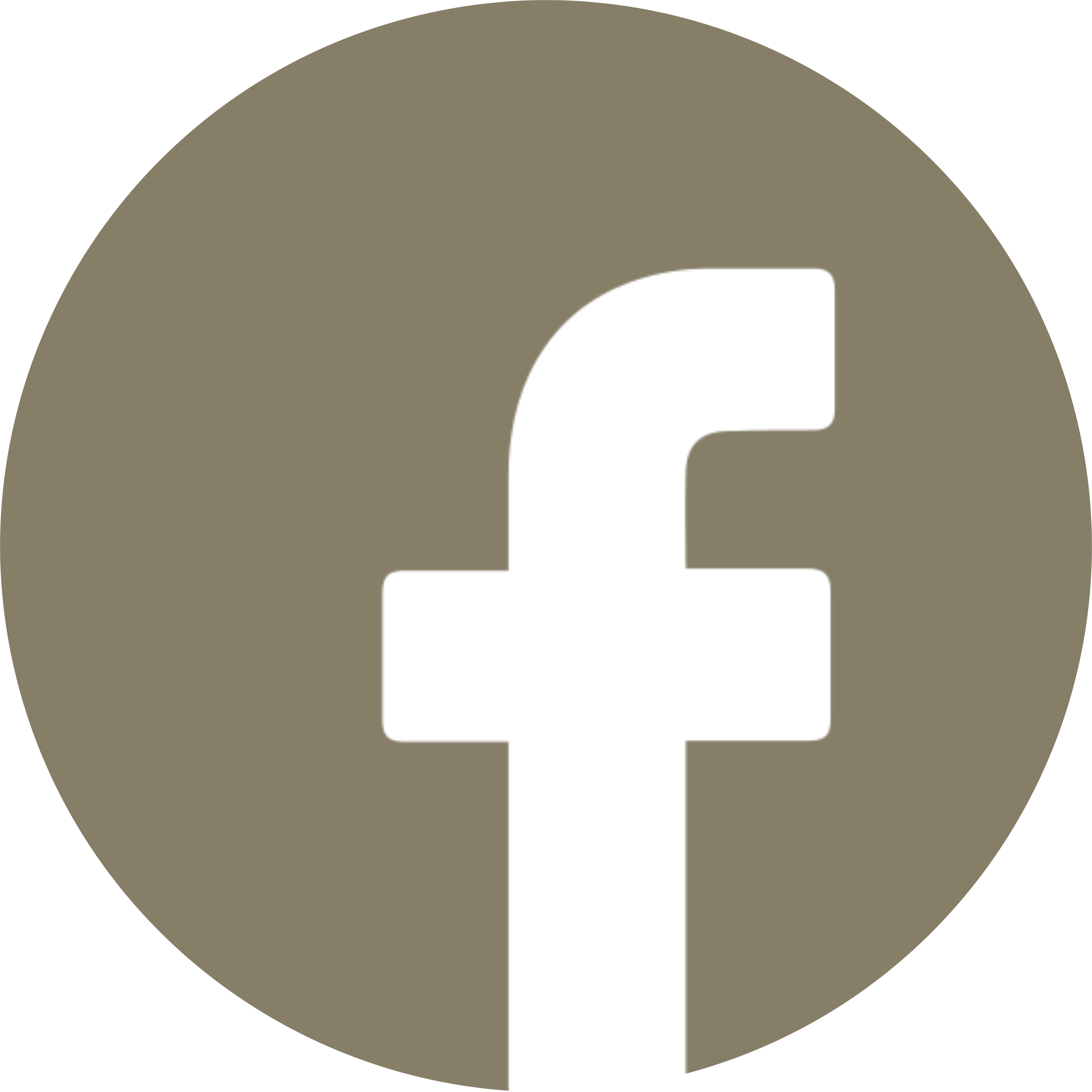 Facebook 1